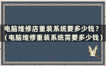 电脑维修店重装系统要多少钱？ （电脑维修重装系统需要多少钱）